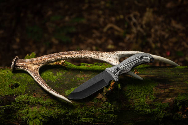 The Trophy Hunter Q-⭐Most Popular-$400+ in Gear